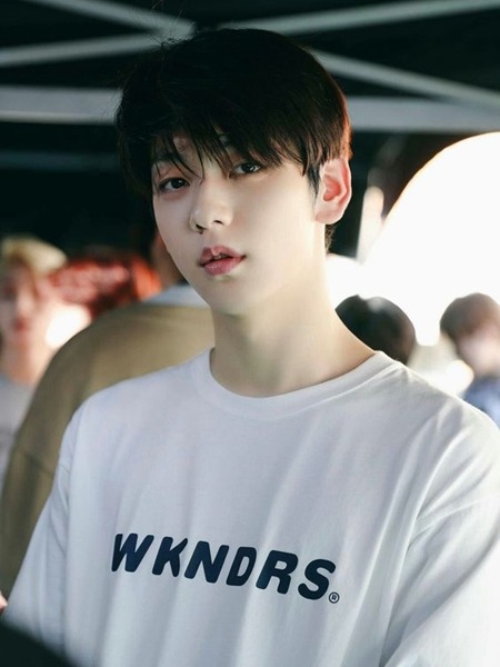 berzodiak Sagitarius