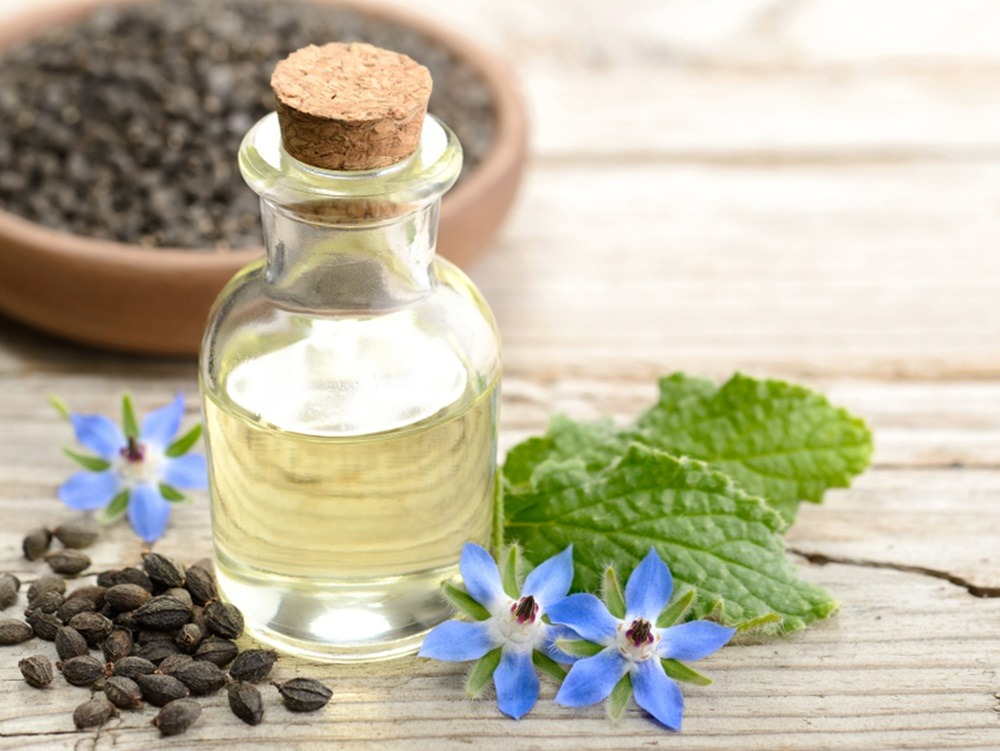 manfaat-borage-seed-oil-bagi-kecantikan-kulit-dan-rambut