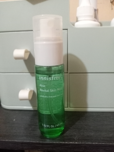 aloe vera ableger kaufen Aloe vera (Echte Aloe) kaufen main image 1