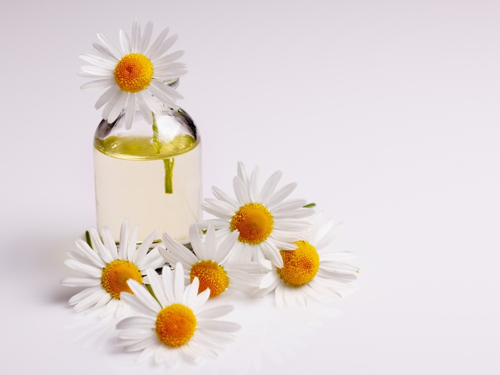 manfaat-bisabolol-untuk-kecantikan