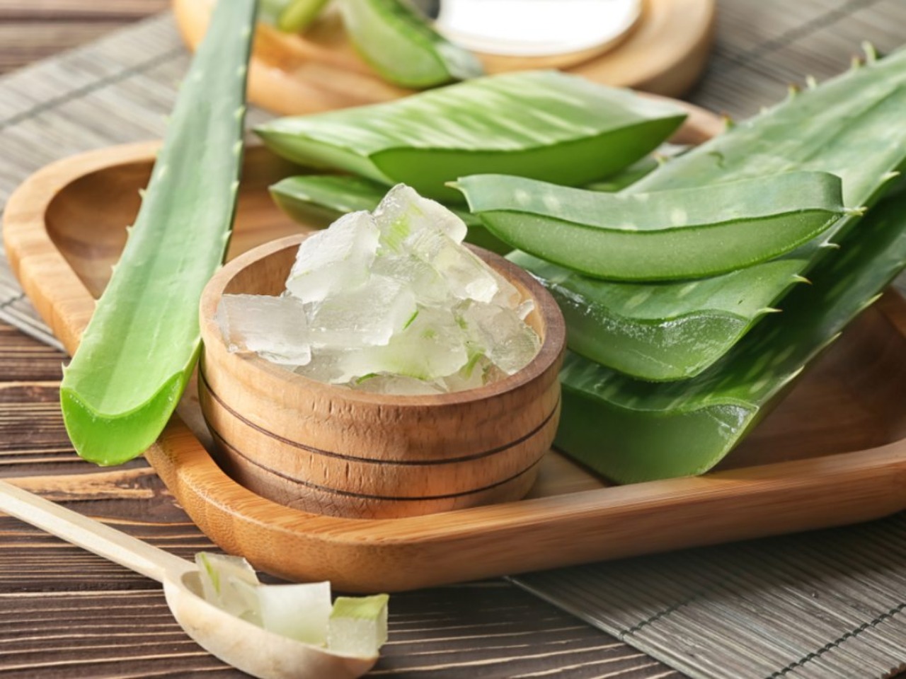 Ini 5 Alasan Mengapa Aloe Vera Begitu Populer di Industri Kecantikan -  Beauty Journal