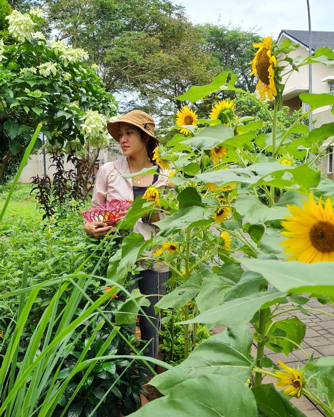 Soraya Cassandra Co-Founder Kebun Kumara