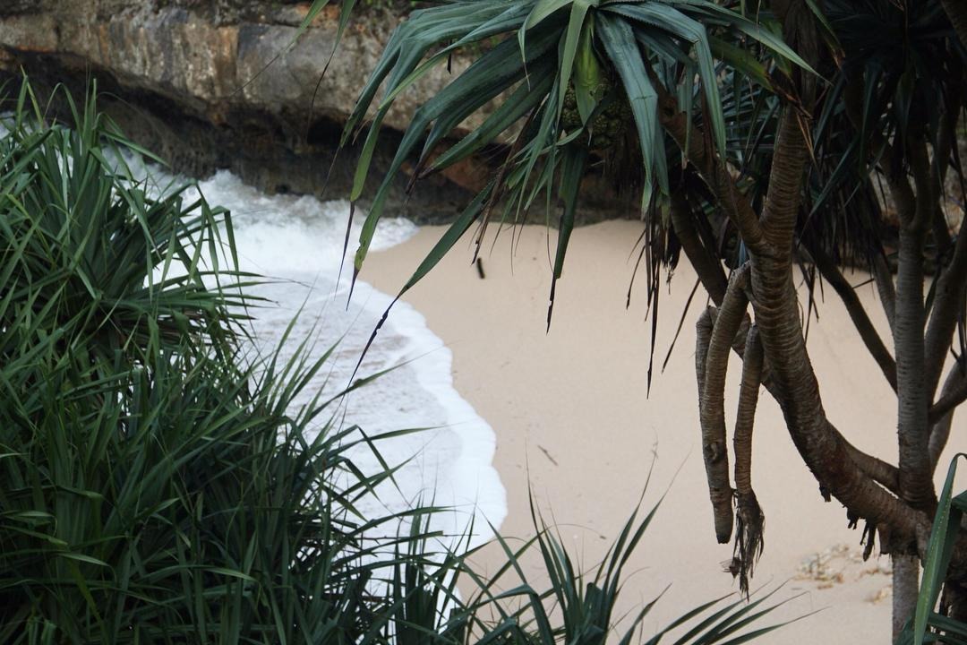 Hidden Gems di Jogja