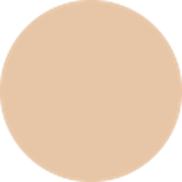 Jual Makeup All Day Perfect Serum Foundation | Sociolla