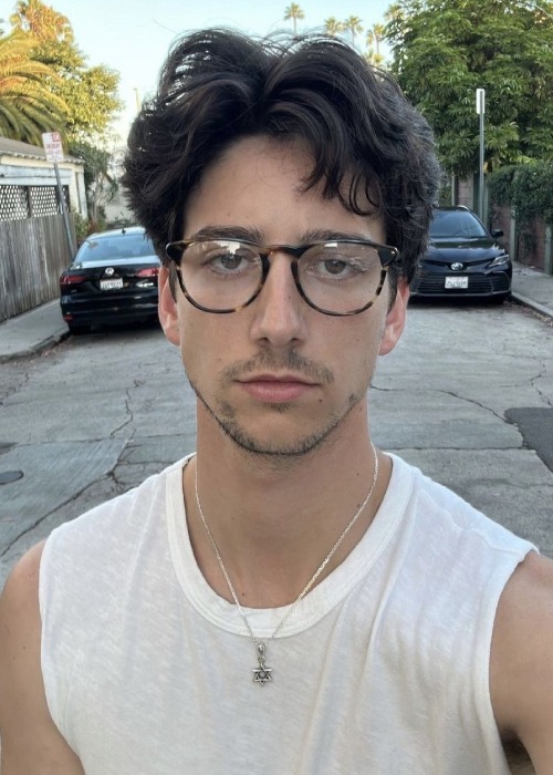 Fakta Menarik Milo Manheim, Pemeran Flynn Rider dalam Film Disney ...