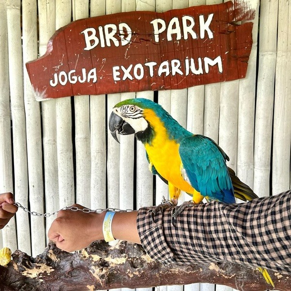 rekomendasi-mini-zoo-di-yogyakarta