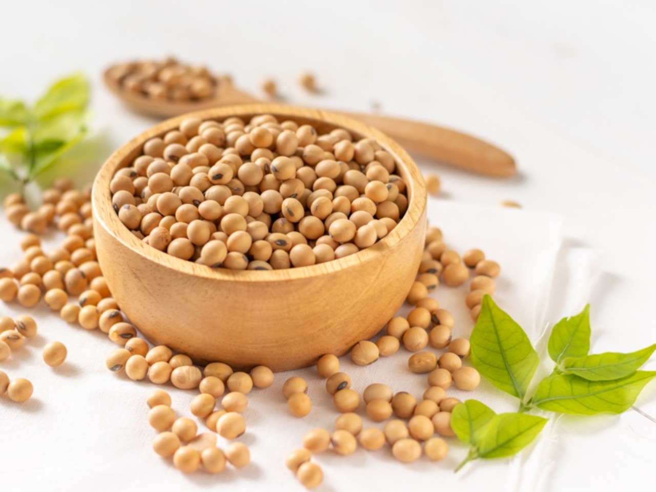 соя зерно. соя смена. соя растение. крупа белая круглая. сойя.