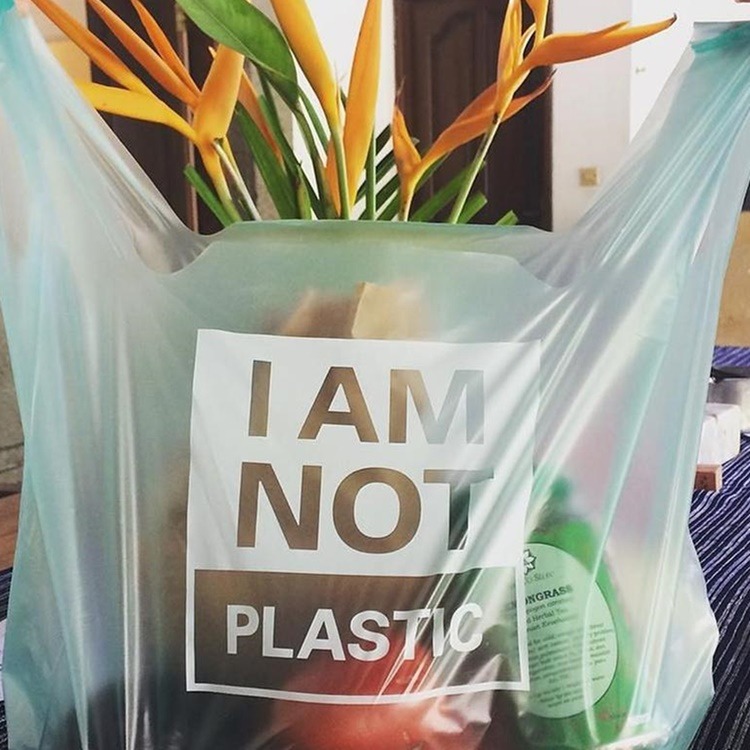 recentieni di eco subțire