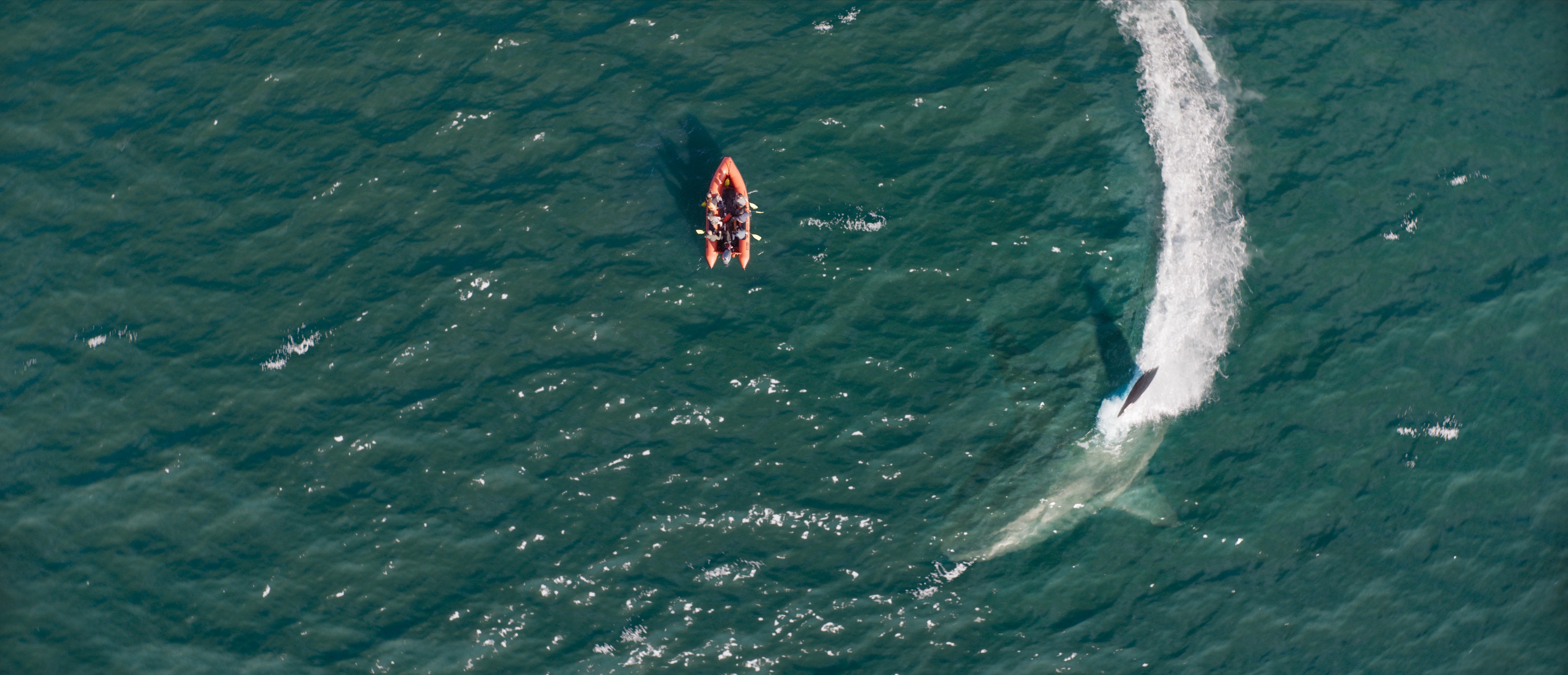 review-film-meg-2-the-trench